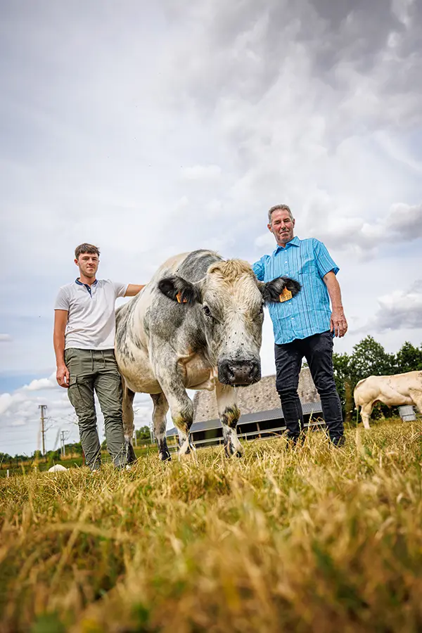 Éleveurs de bovin en Normandie pour Lemarchand